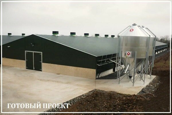 Этапы возведения птицефабрики от завода ВелесТент-клб